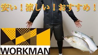 ワークマン2022春夏新作　釣りに最適夏服紹介！　ワークマンプラス