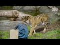 Zoo Tales - Jaka&#39;s favourite things
