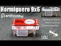 Video: AntHouse-Hori-Acri 9x5x1,3 (Mushroom)