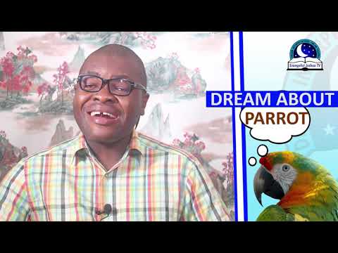 Video: Why Is The Parrot Dreaming