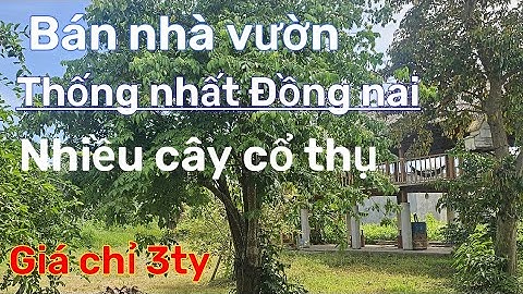 Cần tiền xoay sở công việc chủ bán nhà vườn nghỉ dưỡng nhiều cây trái ở thống nhất đồng nai.
