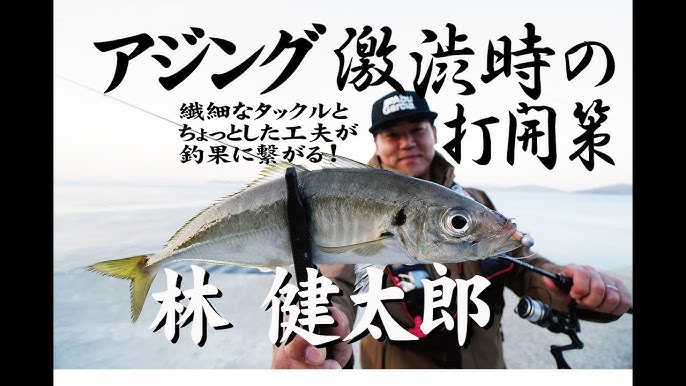 アジング 21 爆釣アイテムをついに発見 ファミリーフィッシング 千葉 外房 房総 Youtube