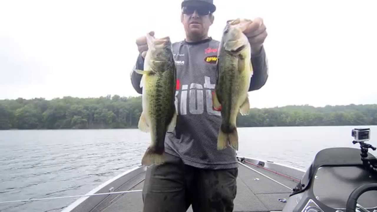 bass fishing at night Using a Drop-Shot (Pitch-Shot) to Find Big Bass in Weeds