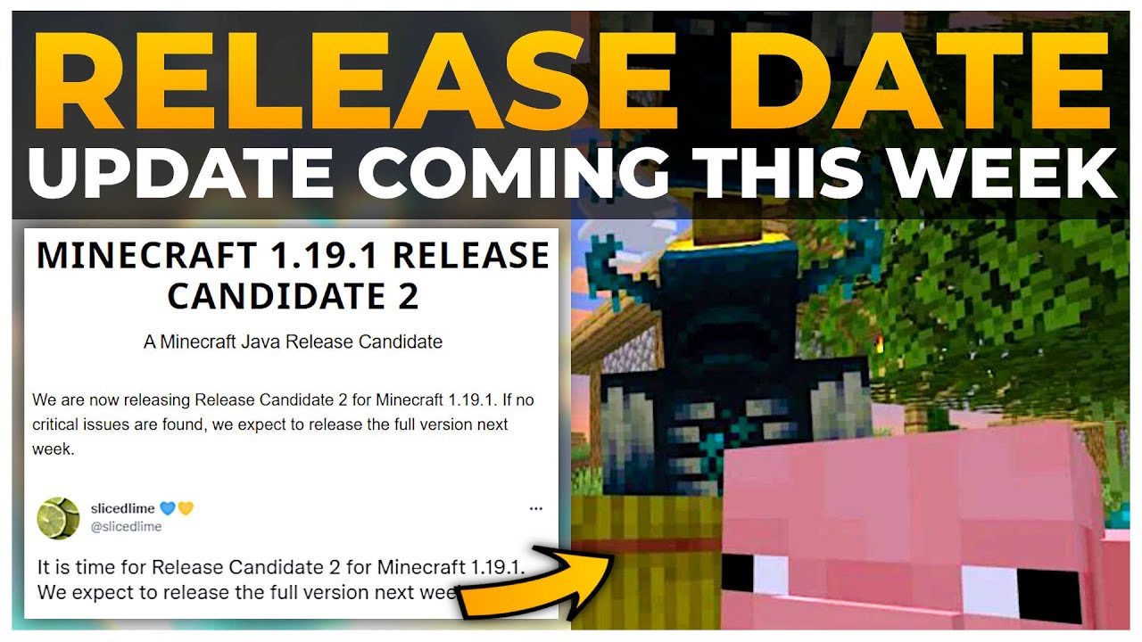 Minecraft Java Edition 1.19.1