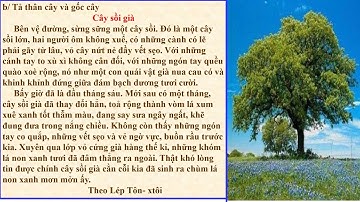TLV 4 - TUẦN 22 - LUYỆN TẬP MIÊU TẢ CÁC BỘ PHẬN CỦA CÂY CỐI
