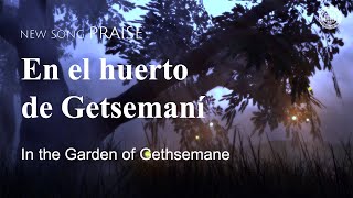 En el huerto de Getsemaní | IDDSMM, Iglesia de Dios