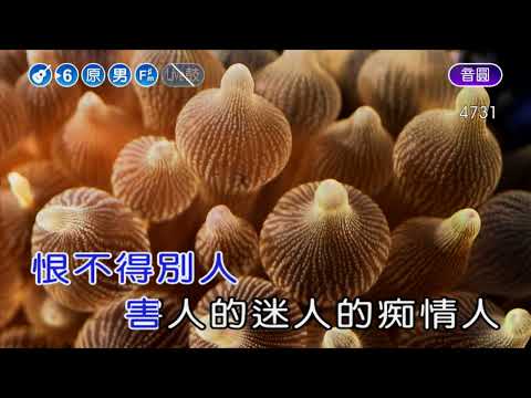 天涯~任賢齊~男原調~伴奏~導唱丙