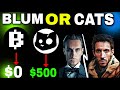 BLUM Airdrop $0  | BLUM Airdrop Listing Update | Cats Airdrop Withdraw | Blum Airdrop  Withdraw