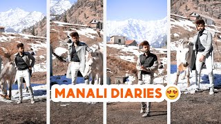 Manali diaries 