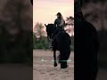 حالات واتس اب جديدة الصياعة ادب حالات واتس اب جديدة الصياعة ادب