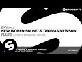New World Sound & Thomas Newson - Flute (Danny Howard Remix)