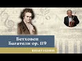 Михаил Казиник - Людвиг ван Бетховен, Багатели op. 119