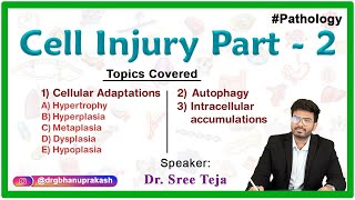 Cell Injury Part & Cell Adaptations Part 2 -  General Pathology || Fmge, Neet pg, and USMLE Step 1