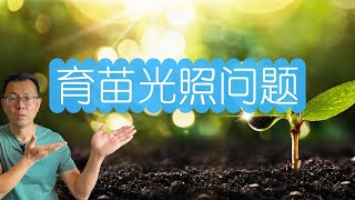 种子发芽要避光吗育苗种子能晒太阳吗很多人都理解错了