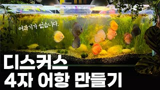 디스커스 무여과 수초어항 만드는 과정 (청소 필요없는 120cm 초대형어항)