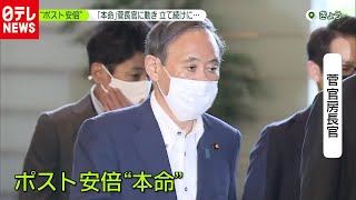 派閥票を固め…菅氏“圧倒的優位”　総裁選（2020年9月1日放送 『news zero』より）