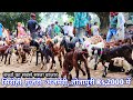 2000, में खरीदें # गुजरी अजमेरी सिरोही तोतापुरी बच्चें Rampur Bakra Mandi U.P Uttrapradesh