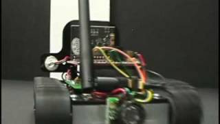 Robot Learning with a Biologically-Inspired Brain (BECCA)