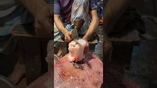 Fast Fish Cutting Skills In Bangladesh Fish Market shorts