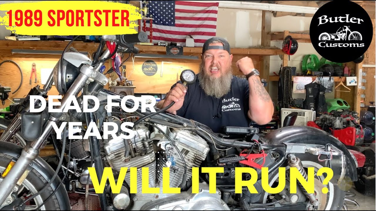 1989 Sportster.  Dead for years! Will it run again??