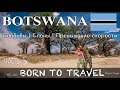 Ботсвана - Баобабы | Слоны | Превышение скорости | 5 часть