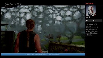 Last of Us 2 - 1st Playthrough on HARD difficulty. Highlights. Awesome rain streaks!