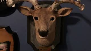 Rare? Jonathan Deer the 3rd singing deer singing fish