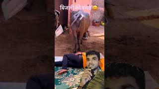 बिजली का बचत करो😆 #youtubeshorts