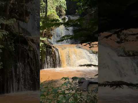 ✨Peace,Nature & Adventure at Karura Forest🌿#forest #ExploreKenya #NatureEscape#Nairobi #TravelReels