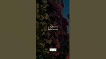 #قران_كريم بصوت جميل جدا جدا راحة نفسية #تلاوة_خاشعة #قرآن #اكتب_شي_تؤجر_عليه #quran #quran_kareem