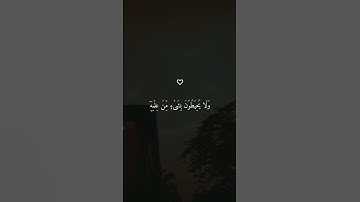 آية الكرسي الشيخ ماهر المعيقلي تلاوة خاشعة ومريحة ارح سمعك #قرآن #قران_كريم