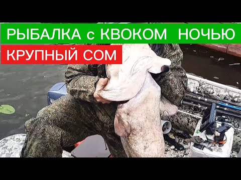 РЫБАЛКА на СОМА с КВОКОМ! Ловля сома на квок НОЧЬЮ! КРУПНЫЙ СОМ на деликатную снасть!