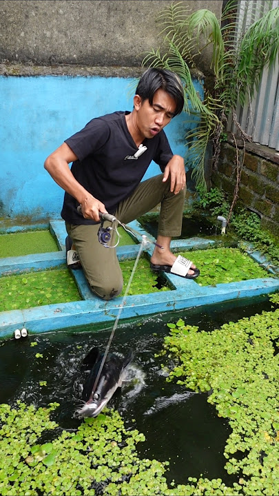 MANCING TOMAN PERTAMA KALI DI TAHUN 2025