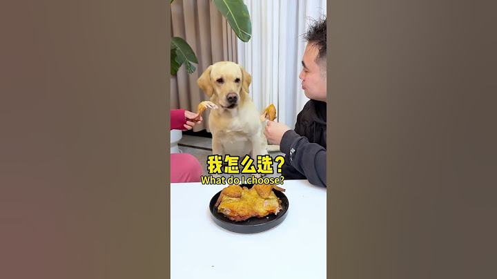 明明就是这狗子做贼心虚，最后还怪我多管闲事he's blaming me for meddling in his own business【旺仔很忙🐶wangzai is busy】