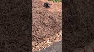 Retaining Wall &amp; Drainage Solution | How We Fixed Erosion and Water Problems | Brooks Landscaping