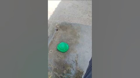 Wait for end 😯😯😯 #shorts #youtubeshorts