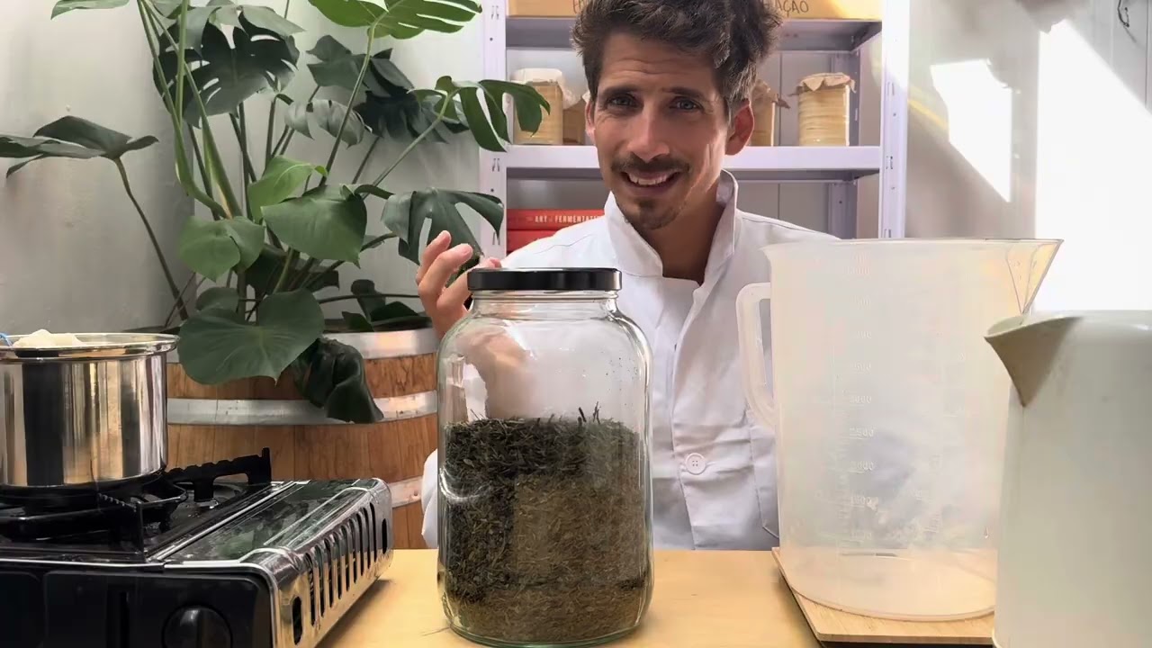 1 - Como Fazer Kombucha: primeira receita da MAI