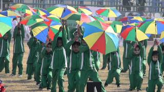 sports day 2011 umbrella drill