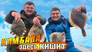 Сахалин. Миллионы камбалы выдирают спиннинг из рук.