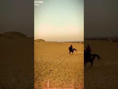 البطل حضر بنفسه عصام السقا