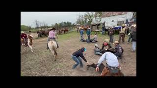 Isabell hip #5 at Jake Clark’s Mule Days