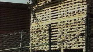 Видео Закрома Родины (автор: Victor555777)