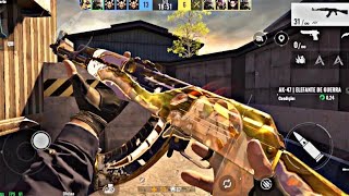 ALPHA ACE 🇧🇷 Highlights