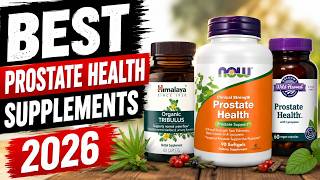 Top 5 Best Prostate Health Supplements for Men in 2026
