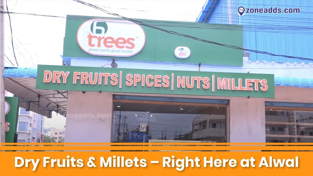 Experience 6 Trees | A Brand Rooted in Nature & Purpose | Alwal | 8309103531 |