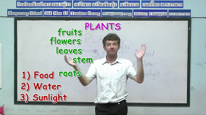Year 4 Science, Lesson 9, Plants-Introduction