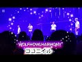WOLF HOWL HARMONY  ココニイル  tera trip Opening Celebration
