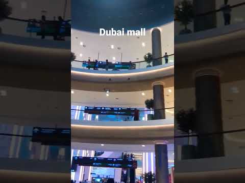 #dubai mall#mall of dubai#dubai