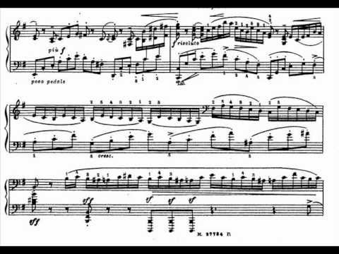 Medtner 'Night Wind' Sonata, Op.25 No.2 (1/4)