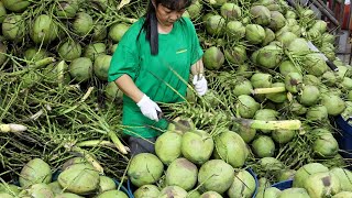 AMAZING!! Coconut Cutting Skills - Coconut Balls in Bangkok